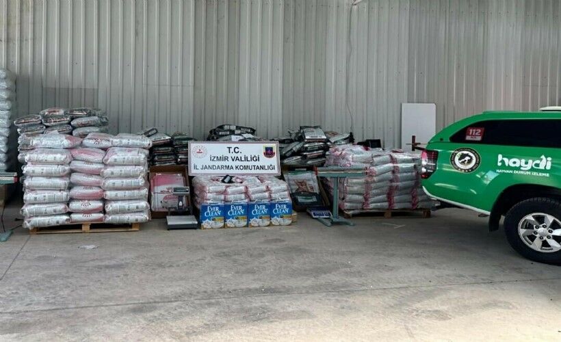 Sahte mamdan can dostlarımız kedilerimiz ve köpeklerimizi nasıl koruruz?