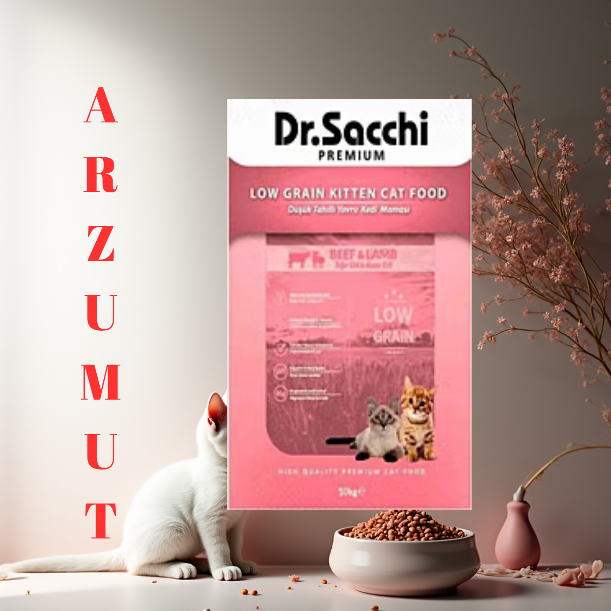Dr.Sacchi Premium Düşük Tahıllı Yavru Kedi Maması 10Kg