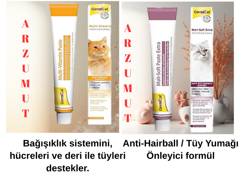 Gimcat Malt Soft 20Gr + GimCat Multivitamin 20 gr İKİLİ PAKET